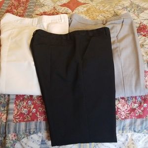 Dress pants
